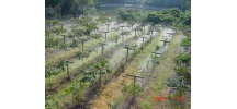 For Agriculture Irrigation